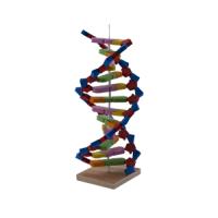 DNA Materyal Seti